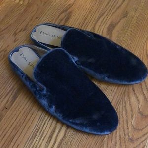 Blue suede shoes